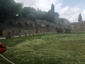 Pompeii 1 (Large)