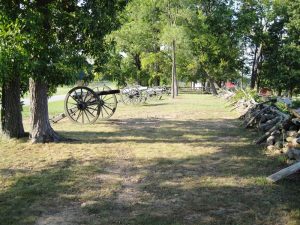 Cannons (Medium)