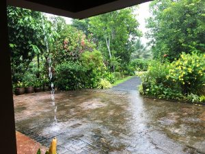 Monsoon rain