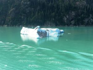 Large Ice Calf at Tracy Arm Fjord (Medium)