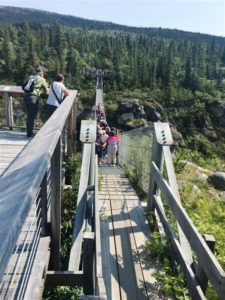 Yukon Suspension Bridge (Medium)