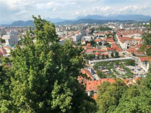 View from the Castle in Ljubjuana (Medium)