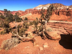 Capitol Reef 2 (Medium)